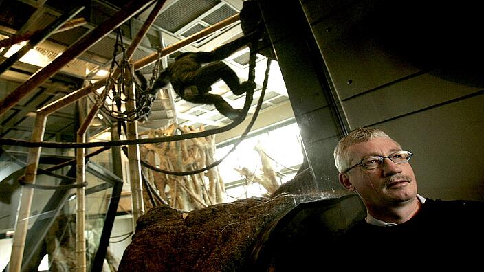 Above the head of biologist and primate researcher Frans de Waal, a monkey is gyrating on a rope.