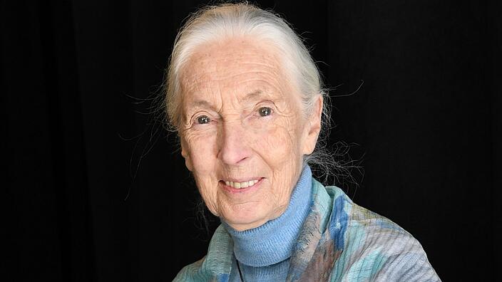 Ein Porträt von Jane Goodall. Ihr graues Haar hat sie zurückgebunden. Sie hält einen Plüsch Schimpansen in der Hand und lächelt in die Kamera.
