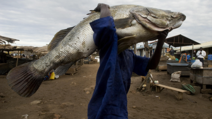 A man carries a huge fish on his shoulder, his face is covered. In the background you can see poor huts with isolated people.