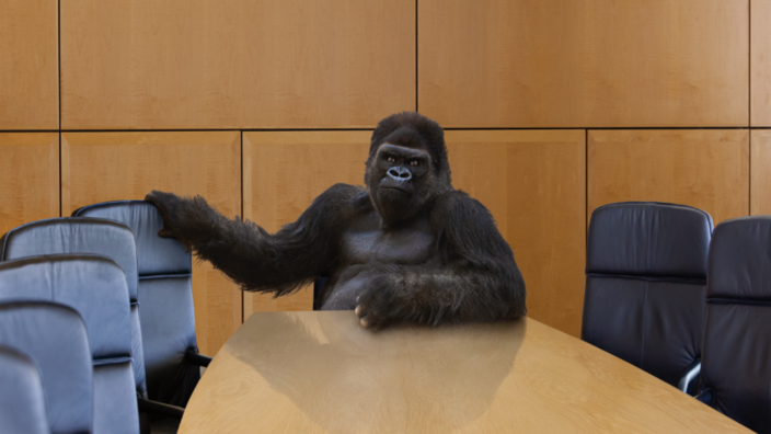 A gorilla sits at the negotiating table in a conference room