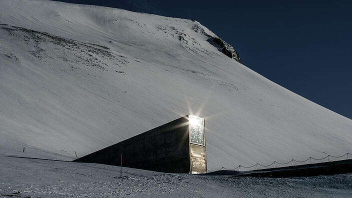 In a snowy, dark wasteland, a slanted entrance to an underground cellar juts out. The glass door in the entrance is illuminated by the sun. 