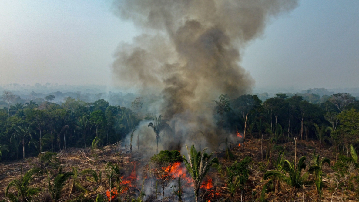 View over a jungle area towards the horizon. In the foreground you can see a glowing fire from which smoke rises up to the sky 