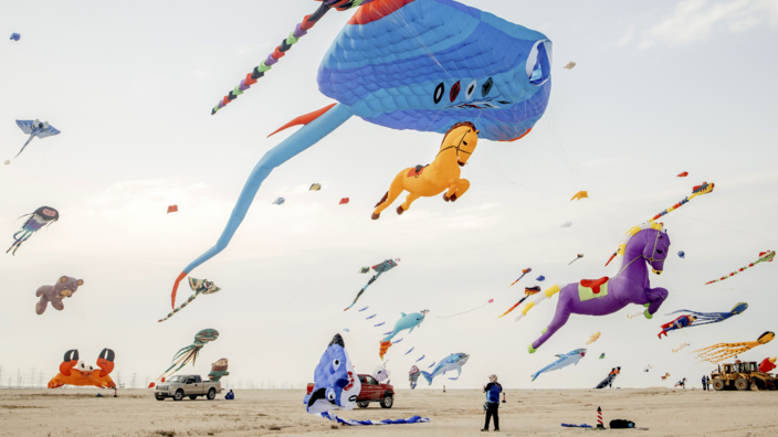 On a vast desert-like plain stand people holding large colorful figures on strings, including purple and orange horses, a large blue snake, a shark, several octopuses in bright colors.