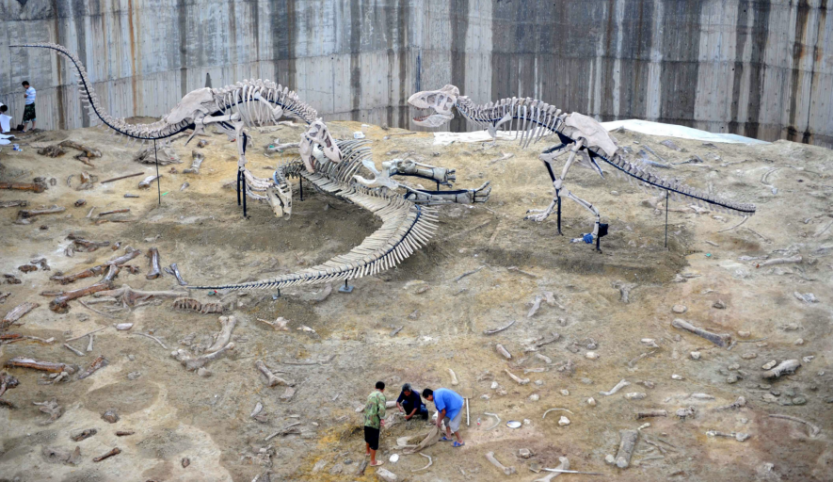 In an excavation site are three complete-looking dinosaur skeletons and many individual dinosaur bones. Four Chinese look at individual bones.