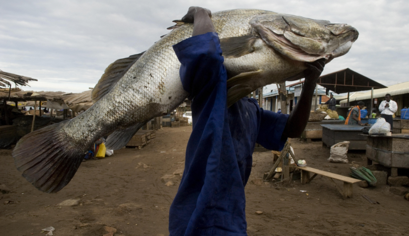 Ein Mann trägt einen riesigen Fisch auf der Schulter, sein Gesicht ist verdeckt. Im Hintergrund sieht man ärmliche Hütten mit vereinzelten Menschen.