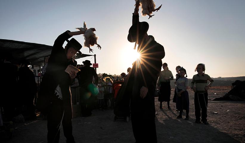 The day before Yom Kippur, the Day of Reconciliation, orthodox Jews in Israel practice kapparot, where you swing a chicken three times over your own head and pass all your personal sins on to the animal. Photo: Menahem Kahana/ AFP/ Getty Images